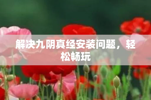 解决九阴真经安装问题图片