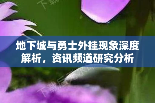 地下城与勇士外挂现象深度解析图片