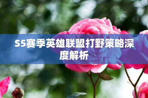 S5赛季英雄联盟打野策略深度解析图片