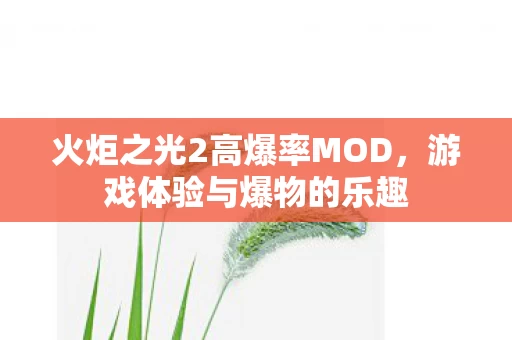 火炬之光2高爆率MOD图片