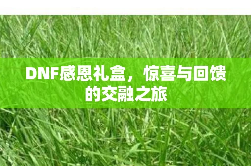 惊喜与回馈的交融之旅图片