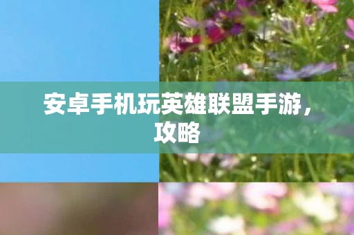 安卓手机玩英雄联盟手游图片