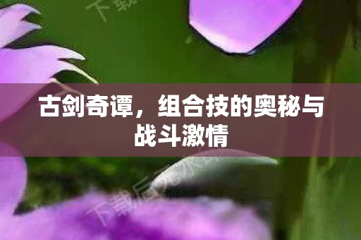 组合技的奥秘与战斗激情图片