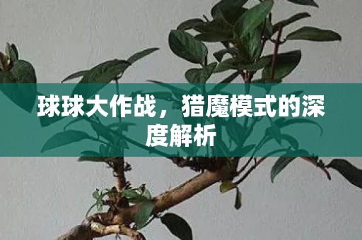猎魔模式的深度解析图片