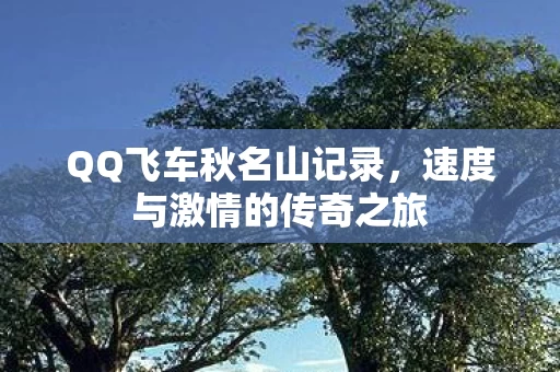 速度与激情的传奇之旅图片