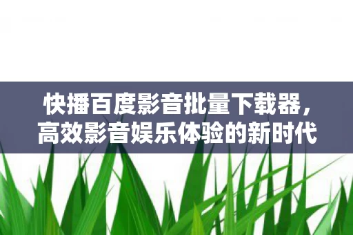 高效影音娱乐体验的新时代工具图片