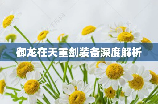 御龙在天重剑装备深度解析图片