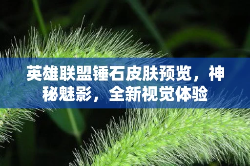 英雄联盟锤石皮肤预览图片