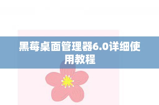 黑莓桌面管理器6图片