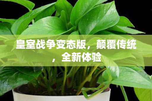皇室战争变态版图片