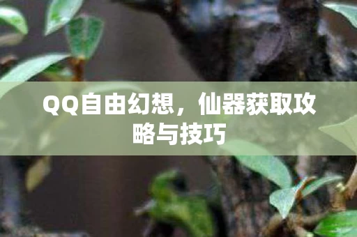 仙器获取攻略与技巧图片