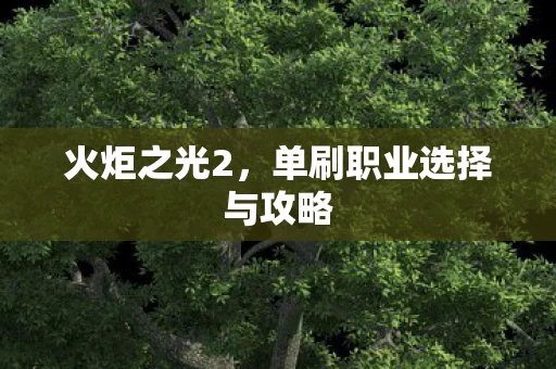 单刷职业选择与攻略图片