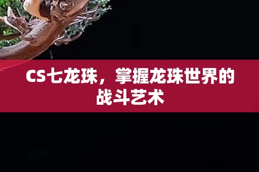 掌握龙珠世界的战斗艺术图片
