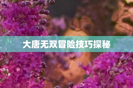 大唐无双冒险技巧探秘图片
