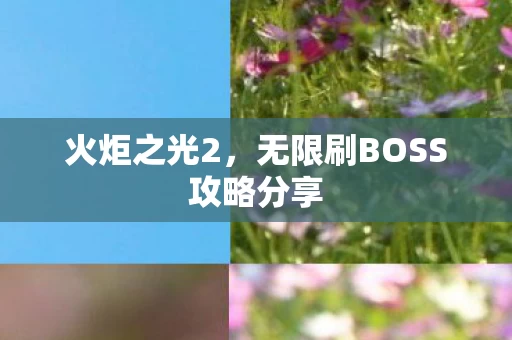 无限刷BOSS攻略分享图片