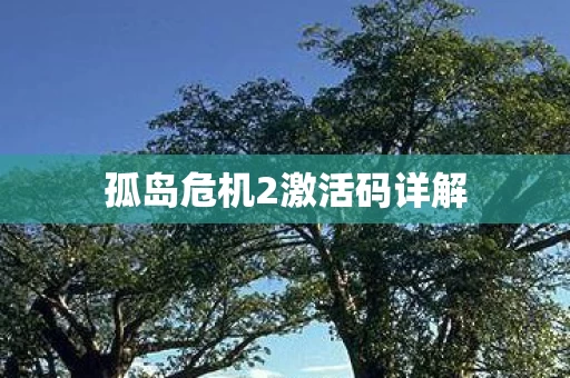 孤岛危机2激活码详解图片