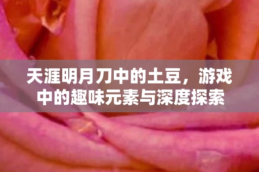 游戏中的趣味元素与深度探索图片