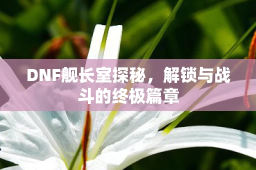 解锁与战斗的终极篇章图片