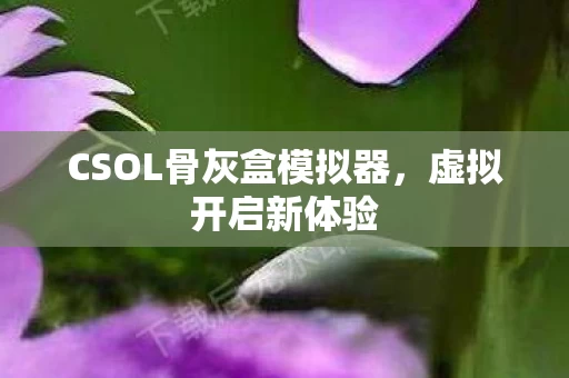 CSOL骨灰盒模拟器图片