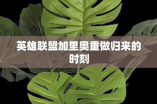英雄联盟加里奥重做归来的时刻图片