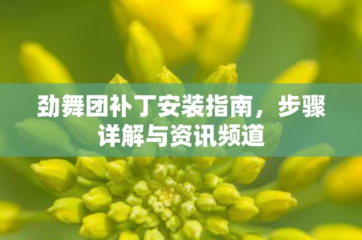 劲舞团补丁安装指南图片