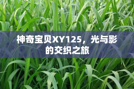 神奇宝贝XY125图片