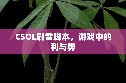 CSOL刷雷脚本,游戏中的利与弊 CSOL刷雷脚本,游戏中的利与弊