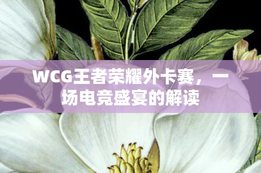 WCG王者荣耀外卡赛,一场电竞盛宴的解读 WCG王者荣耀外卡赛,一场电竞盛宴的解读