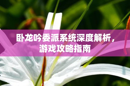 卧龙吟委派系统深度解析,游戏攻略指南 卧龙吟委派系统深度解析,游戏攻略指南