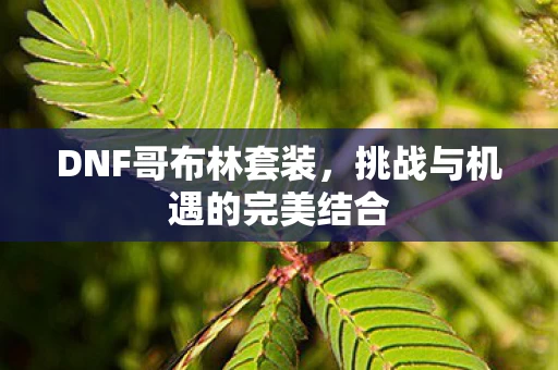 挑战与机遇的完美结合图片