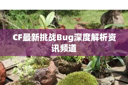 CF最新挑战Bug深度解析资讯频道图片