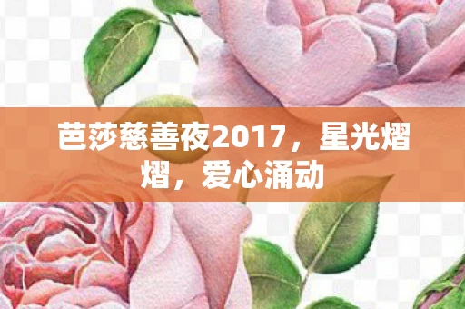 芭莎慈善夜2017图片