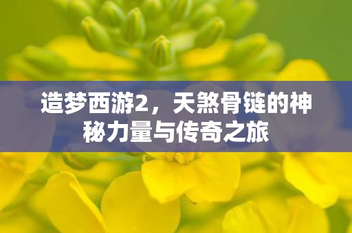天煞骨链的神秘力量与传奇之旅图片