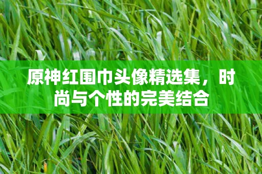 原神红围巾头像精选集图片
