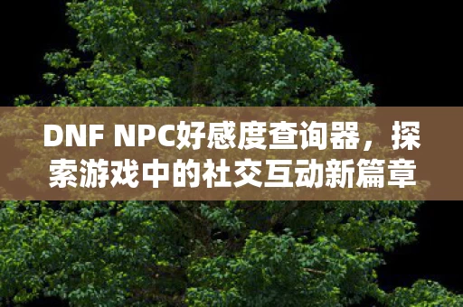 DNF NPC好感度查询器图片