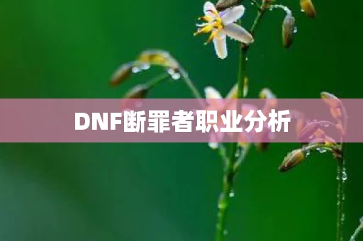 DNF断罪者职业分析图片