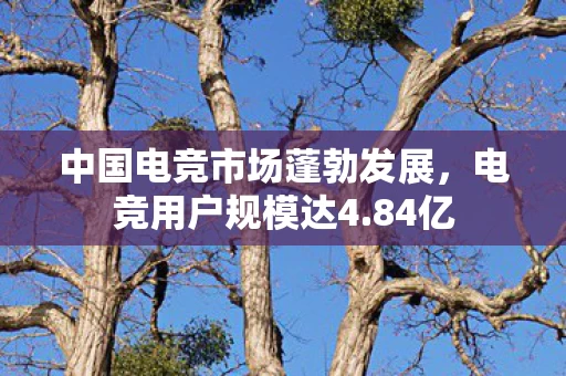 中国电竞市场蓬勃发展图片
