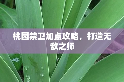 桃园禁卫加点攻略图片