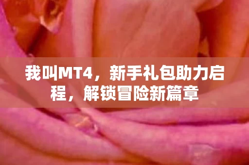 新手礼包助力启程图片
