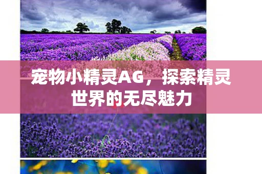 探索精灵世界的无尽魅力图片
