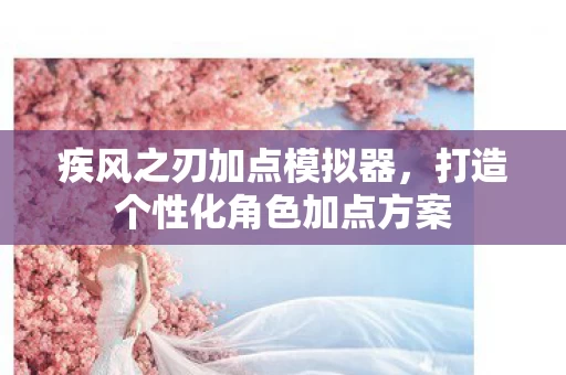 打造个性化角色加点方案图片
