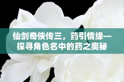 探寻角色名中的药之奥秘图片