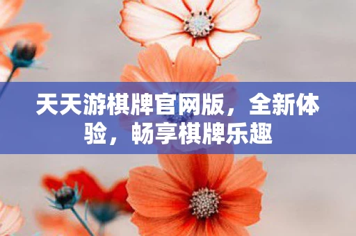 天天游棋牌官网版图片