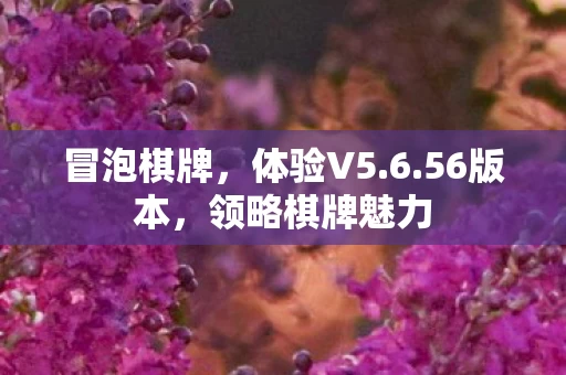 领略棋牌魅力图片