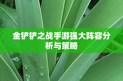 金铲铲之战手游强大阵容分析与策略图片