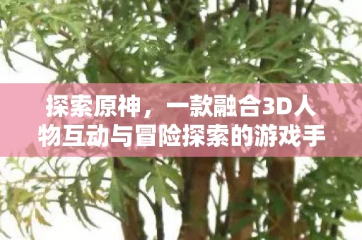 一款融合3D人物互动与冒险探索的游戏手游图片