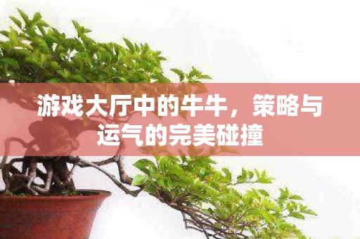 策略与运气的完美碰撞图片