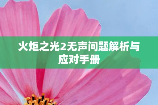 火炬之光2无声问题解析与应对手册图片