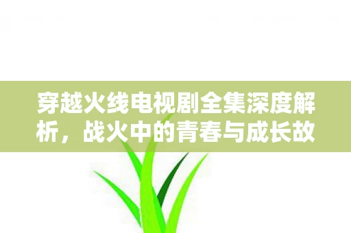 穿越火线电视剧全集深度解析图片