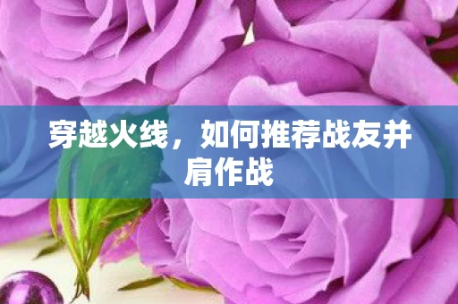 如何推荐战友并肩作战图片
